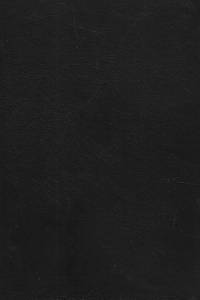 96556. Sion, Victor – Duchovní realismus Terezie z Lisieux