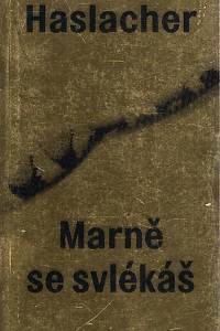 105924. Haslacher, Pavel – Marně se svlékáš