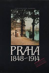 25560. Scheufler, Pavel – Praha 1848-1914, Čtení nad dobovými fotografiemi