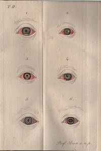Beer, Joseph – Lehre von den Augenkrankheiten, als Leitfaden zu seinen öffentlichen Vorlesungen entworten von G. Joseph Beer I.-II.