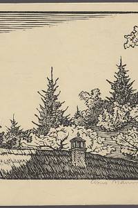 205803. Nauman, Arno – dřevoryt
