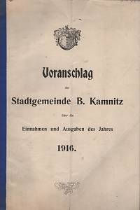 129076. Kögler, Eduard – Voranschlag der Stadtgemeinde B. Kamnitz über die Einnahmen und Ausgaben des Jahres 1916.