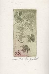 206953. Králová, Marketa – [Ex libris] ZŠ