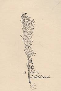 207165. Švengsbír, Jiří Antonín – ex libris J. Mildeová