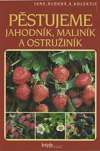 142012. Dlouhá, Jana – Pěstujeme jahodník, maliník, ostružiník