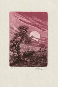 208971. Kisza, Herbert – [Ex libris] VR