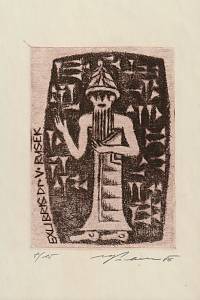 209367. Pechar, Vladimír – Exlibris Dr. V. Rusek
