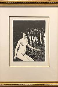 209585. Kobliha, František – Žena