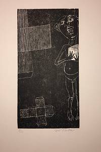 210269. Šindler, Jiří – Leonid Andrejev. Propasti