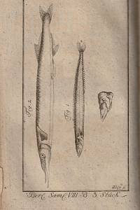 Berlinische Sammlungen zur Beförderung der Arzneywissenschaft, der Naturgeschichte, der Haushaltungskunst, Kameralwissenschaft und der dahin einschlagenden Litteratur. VIII. Band, I.-VI. Stück