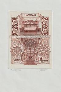 211036. Tvrdoň, Jaroslav – Hammam, 1888 Ifigénia de Castries d'Harcourt, Kúpele Trenčianske Teplice