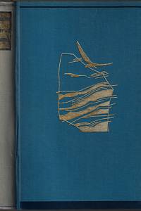 142203. O’Sullivan, Maurice – Dvacet let se roste...