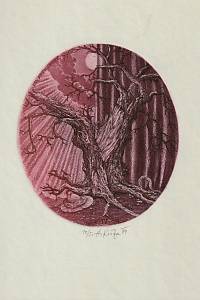 209451. Kisza, Herbert – EXL Mil. Horský
