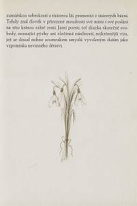 Hollar : sborník grafické práce. Ročník XIV. (1938-1939)