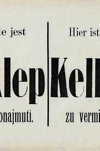 158240. Fuchs, Hynek – Zde jest sklep k pronajmutí = Hier ist ein Keller zu vermieten