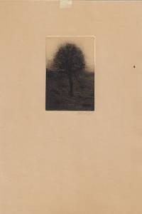 214481. Mědílek, Jiří – suchá jehla