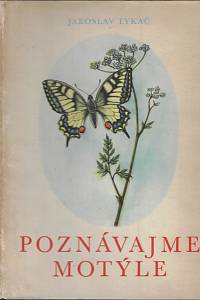116237. Tykač, Jaroslav – Poznávajme motýle