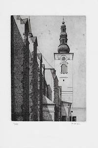 214551. Toman, Petr – lept