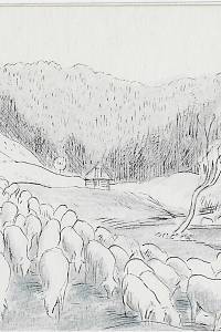214612. Fiala, Václav – barevná litografie