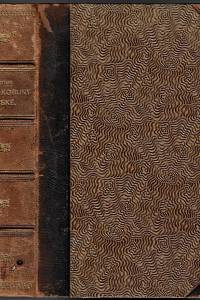 25573. Arbes, Jakub – Pláč koruny České neboli Persekuce lidu českého v letech 1868-1873
