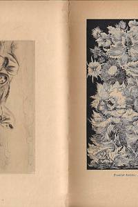 Hollar : sborník grafické práce. Ročník XIX. (1943)