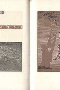 Hollar : sborník grafické práce. Ročník XI. (1935)