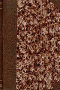 164370. Dittrich, Arnošt / Nachtikal, František – O principu relativnosti, nové teorii světa, 4-rozměrna ; Princip relativity : názorný výklad