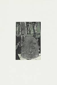 AB 80 : Albín Brunovský (*1935 - †1997) 2015 : [album 22 grafických listů]