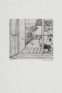 213529. Dvořáková, Milena – suchá jehla