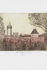 214823. Vychodilová, Olga – Kokořín