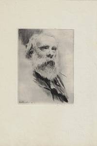 214824. Nauman, Arno – Jaroslav Vrchlický
