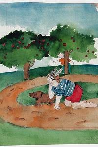 214901. Králová, Marketa – ilustrace