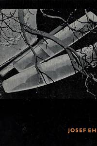 56049. Mašín, Jiří – Josef Ehm : fotografie