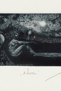 202908. Černoš, Jan – Narcissus : EXL Nele Vermeulen