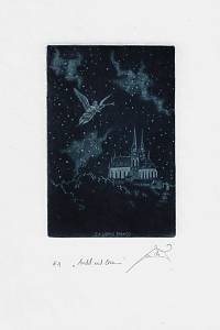 215494. Černoš, Jan – Anděl nad Brnem : ex libris Brno22