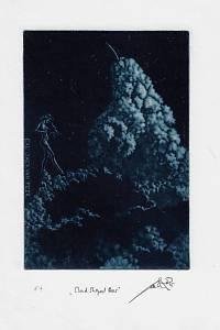 215523. Černoš, Jan – Cloud Shaped Pear : EXL Jack van Peer