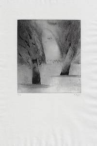 215536. Šafář, Karel – suchá jehla