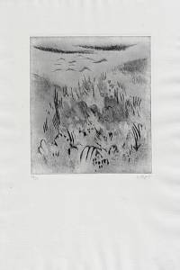 215537. Šafář, Karel – suchá jehla