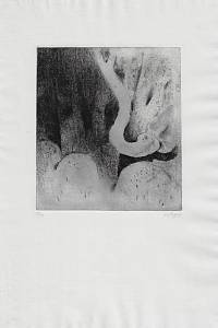 215539. Šafář, Karel – suchá jehla