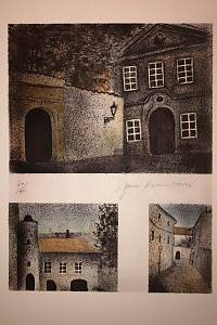 215587. Reinerová, Jana – Amadeus