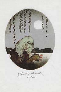 203471. Suchánek, Vladimír – Vodník