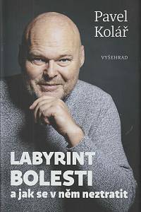 167574. Kolář, Pavel – Labyrint bolesti a jak se v něm neztratit