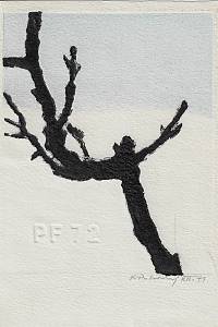 215715. Pokorný, Karel – PF 72