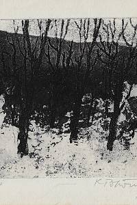 215733. Pokorný, Karel – PF 1969