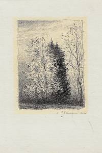 215824. Nauman, Arno – litografie s podtiskem