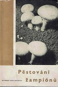 166954. Staněk, Miloslav – Pěstování žampionů