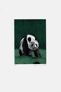 211900. Manojlín, Martin – Panda
