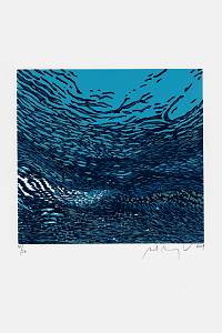 Manojlín, Martin – Underwave. III : [cyklus tří grafických listů]