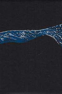 Manojlín, Martin – Underwave. IV : [cyklus tří grafických listů]