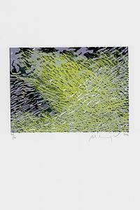 215950. Manojlín, Martin – Proudnice. II
